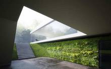 использование вертикального озеленения в дизайне входной группы подвального этажа